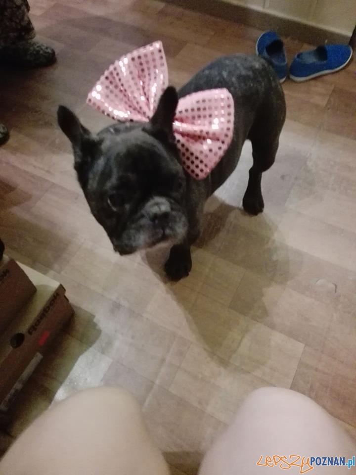 Magdalena Kwiatkowska Rambo Foto: Magdalena Kwiatkowska Rambo Foto: