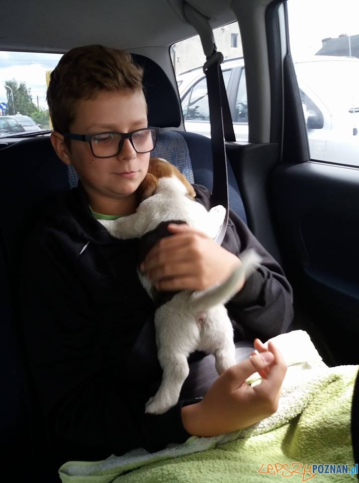 Paulina Pawłowska Demon Foto: Paulina Pawłowska Demon Foto: