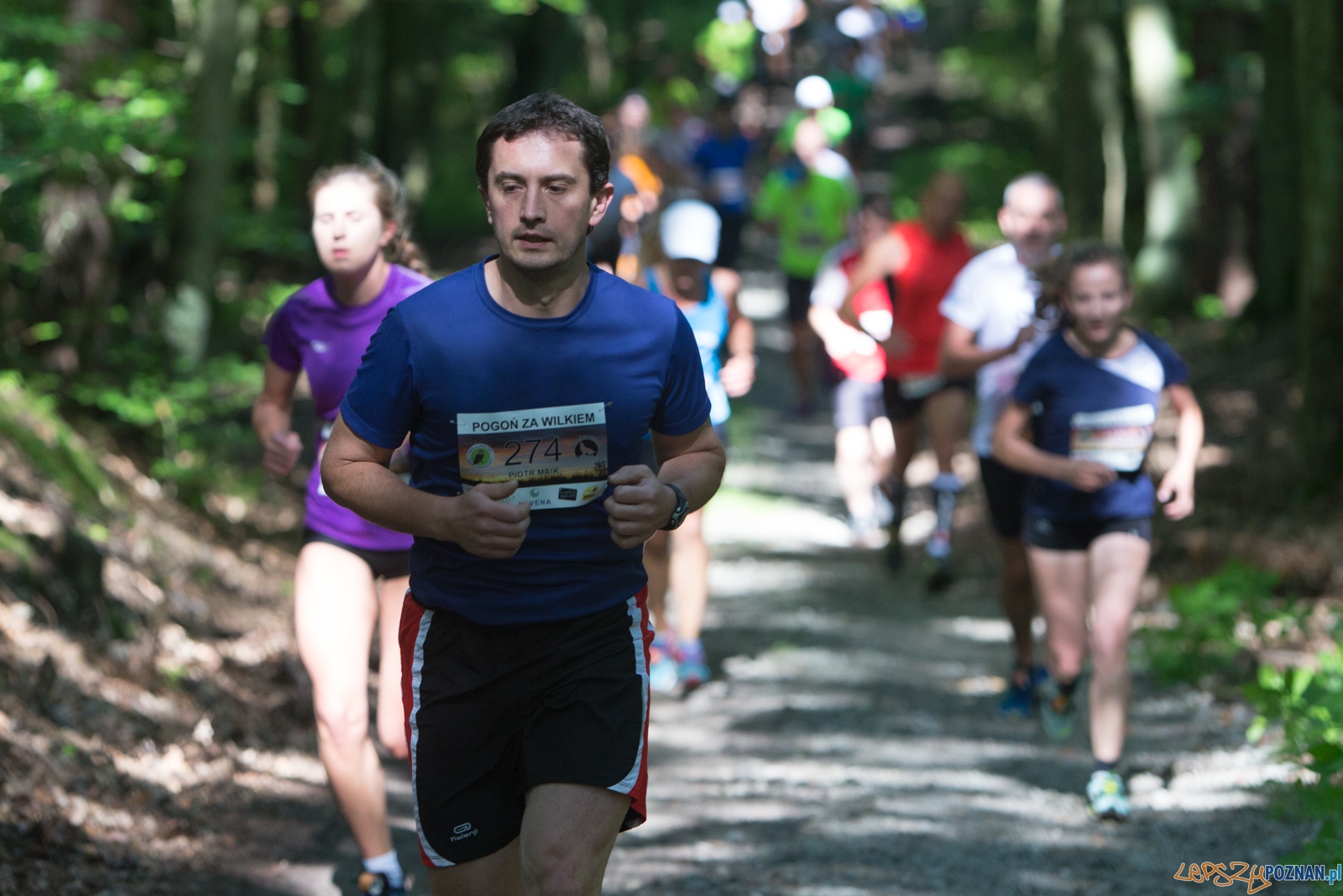 Pogoń za Wilkiem 2017 Foto: lepszyPOZNAN.pl/Piotr Rychter Pogoń za Wilkiem 2017 Foto: lepszyPOZNAN.pl/Piotr Rychter