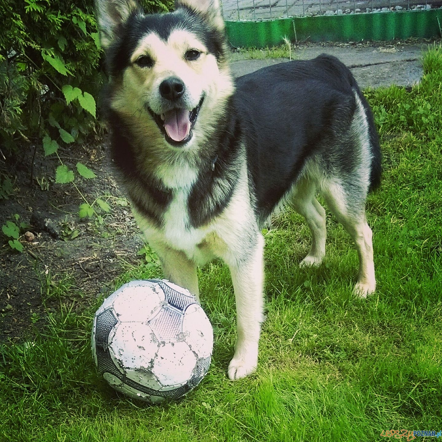 Anna Krzyżaniak Foto: Anna Krzyżaniak Foto: