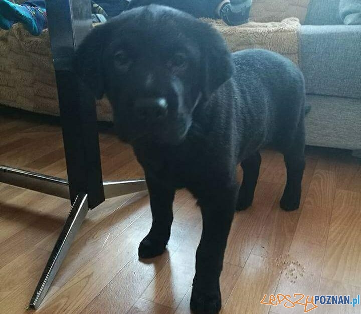 Anita Anna Kaźmierska Foto: Anita Anna Kaźmierska Foto: