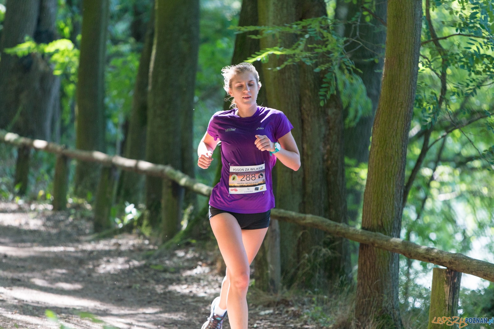 Pogoń za Wilkiem 2017 Foto: lepszyPOZNAN.pl/Piotr Rychter Pogoń za Wilkiem 2017 Foto: lepszyPOZNAN.pl/Piotr Rychter