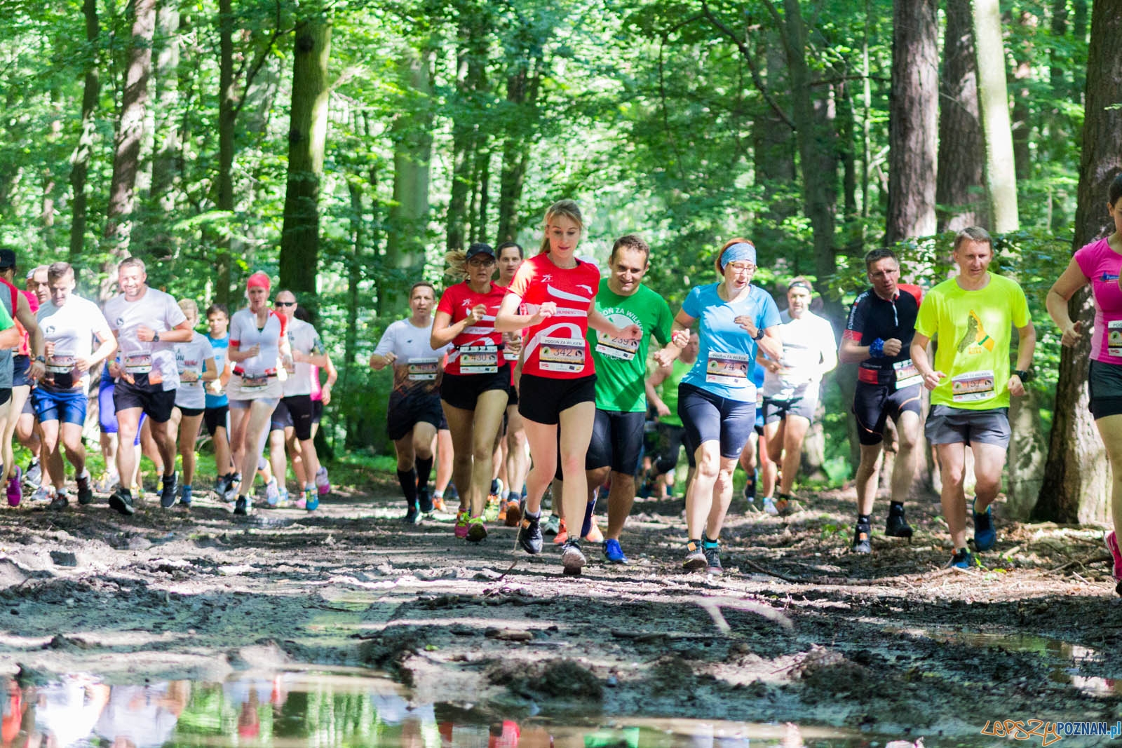 Pogoń za Wilkiem Foto: lepszyPOZNAN.pl / Ewelina Jaśkowiak Pogoń za Wilkiem Foto: lepszyPOZNAN.pl / Ewelina Jaśkowiak