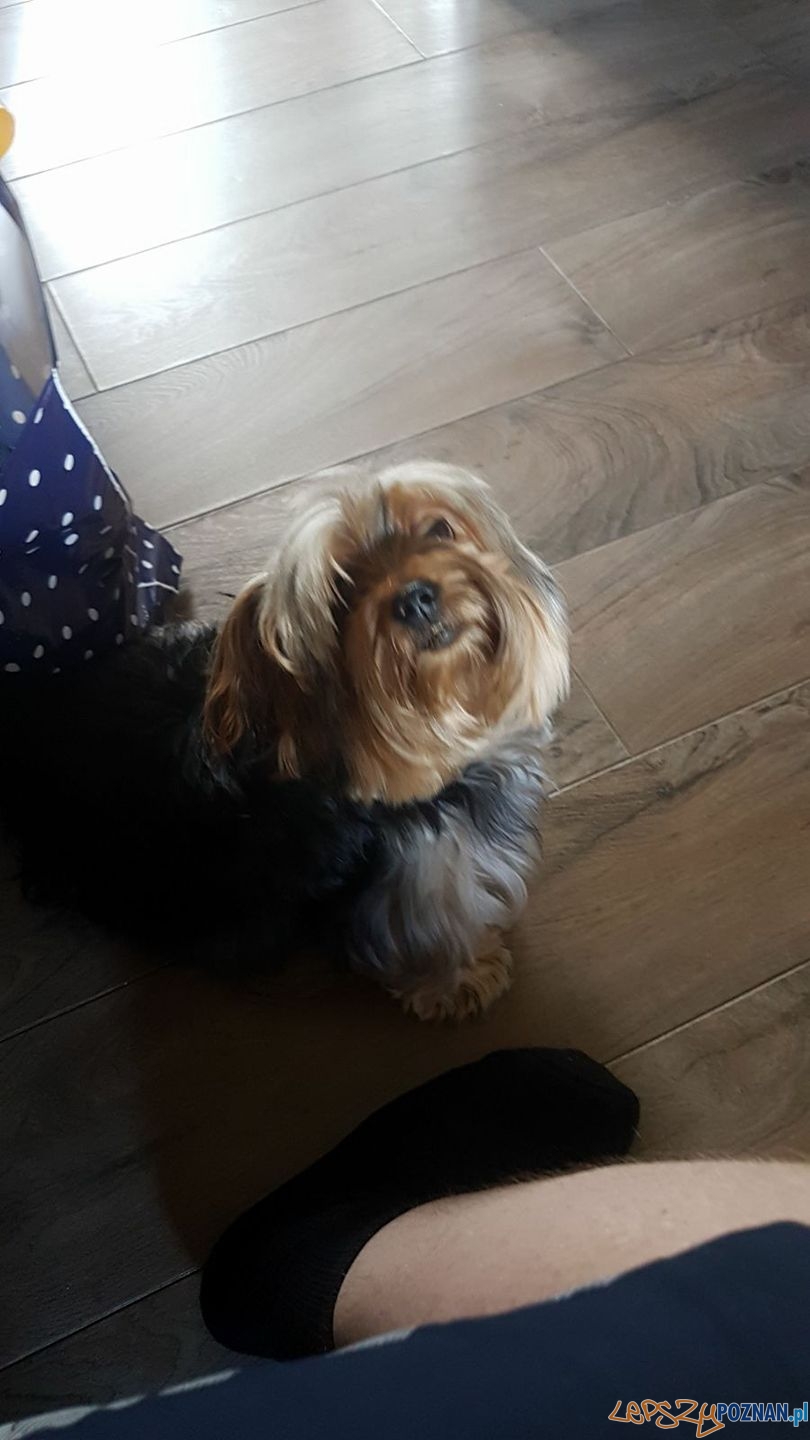 Magdalena Konieczna Foto: Magdalena Konieczna Foto: