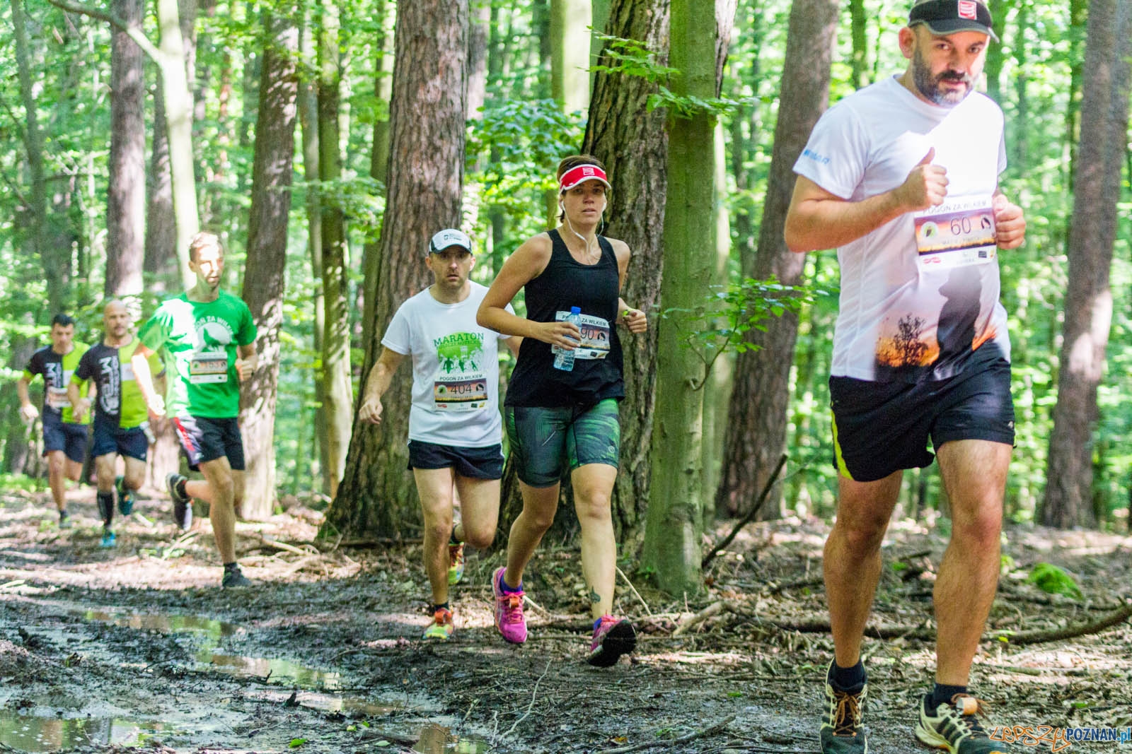 Pogoń za Wilkiem Foto: lepszyPOZNAN.pl / Ewelina Jaśkowiak Pogoń za Wilkiem Foto: lepszyPOZNAN.pl / Ewelina Jaśkowiak