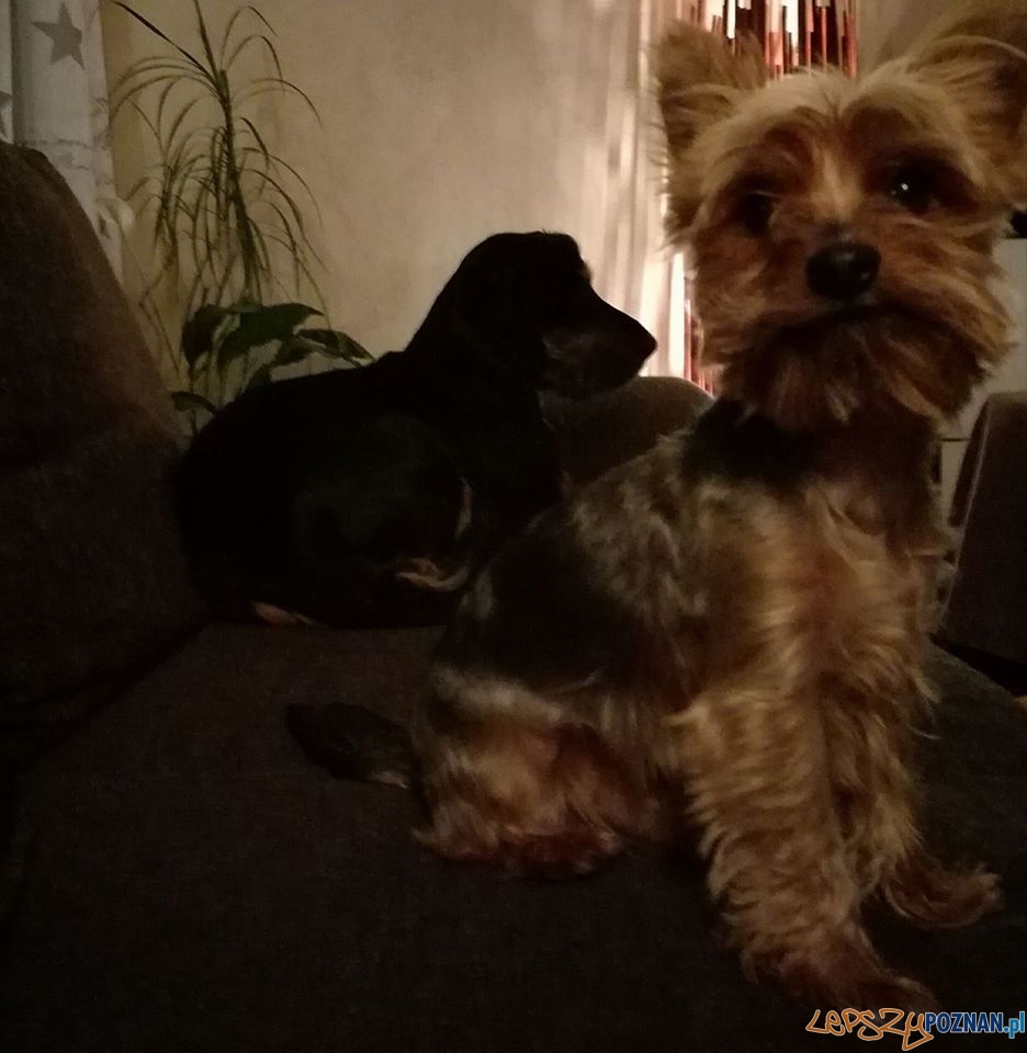 Agnieszka Tchorz Foto: Agnieszka Tchorz Foto: