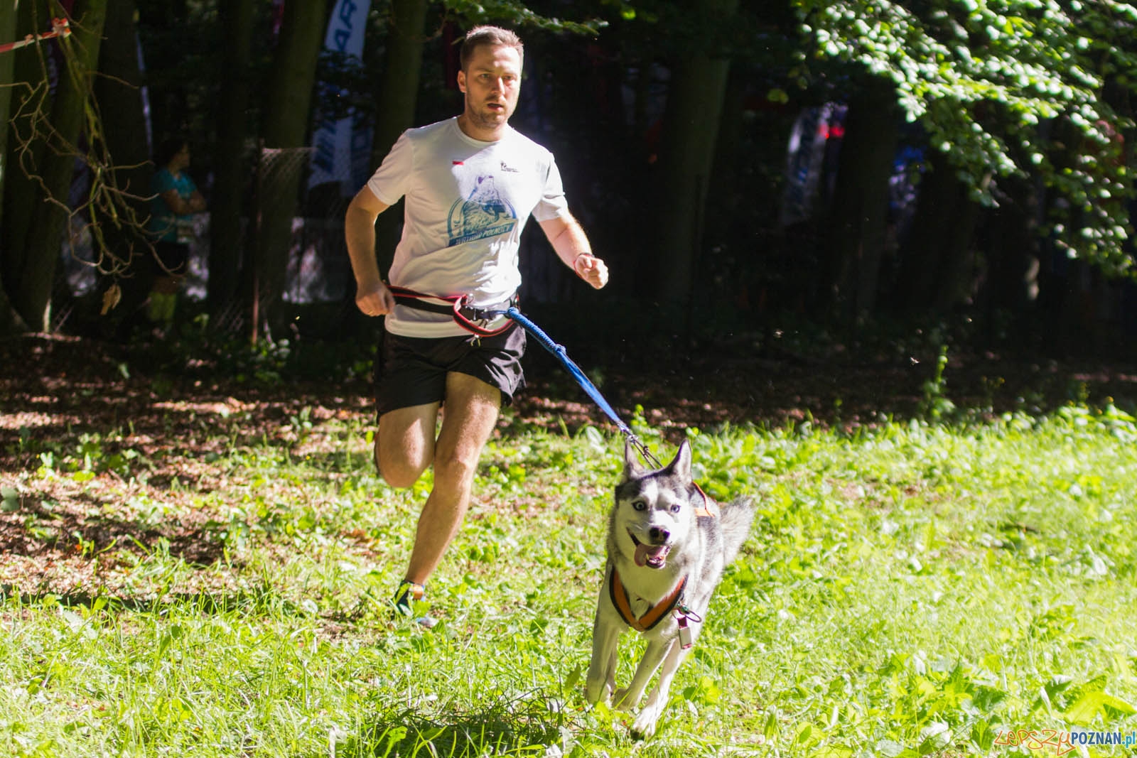 Pogoń za Wilkiem Foto: lepszyPOZNAN.pl / Ewelina Jaśkowiak Pogoń za Wilkiem Foto: lepszyPOZNAN.pl / Ewelina Jaśkowiak
