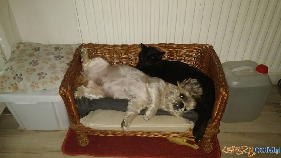 Ma Rzena Andrzej ;) lat 9 Foto: Ma Rzena Andrzej ;) lat 9 Foto: