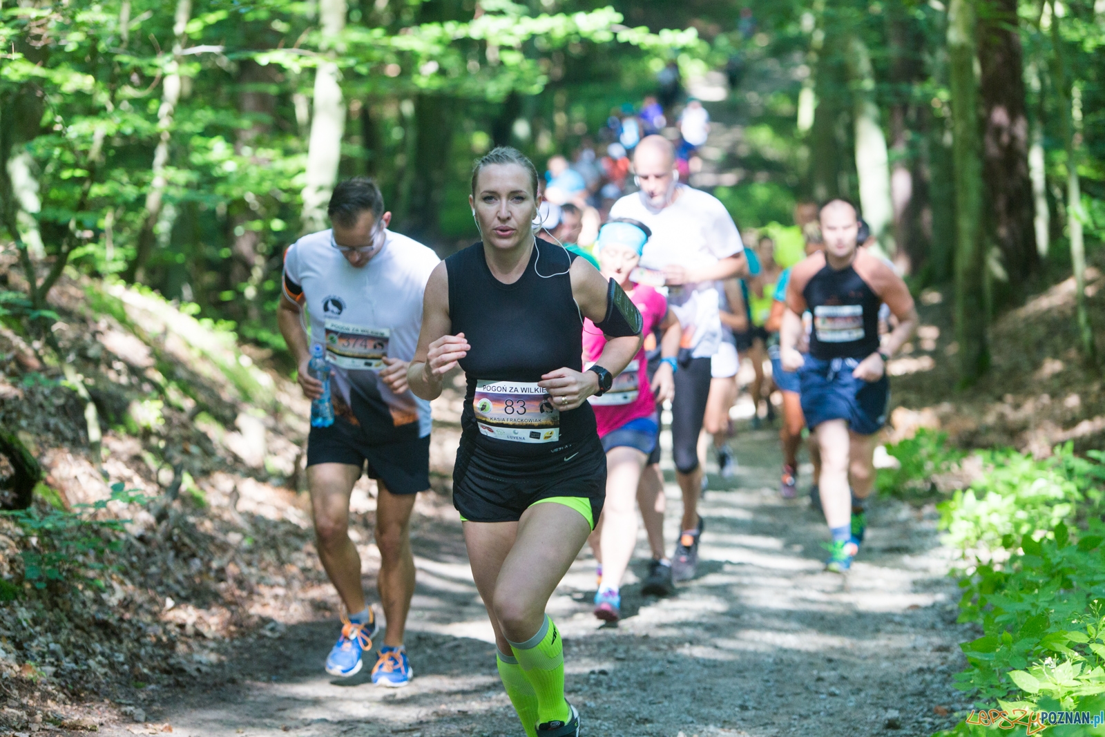 Pogoń za Wilkiem 2017 Foto: lepszyPOZNAN.pl/Piotr Rychter Pogoń za Wilkiem 2017 Foto: lepszyPOZNAN.pl/Piotr Rychter
