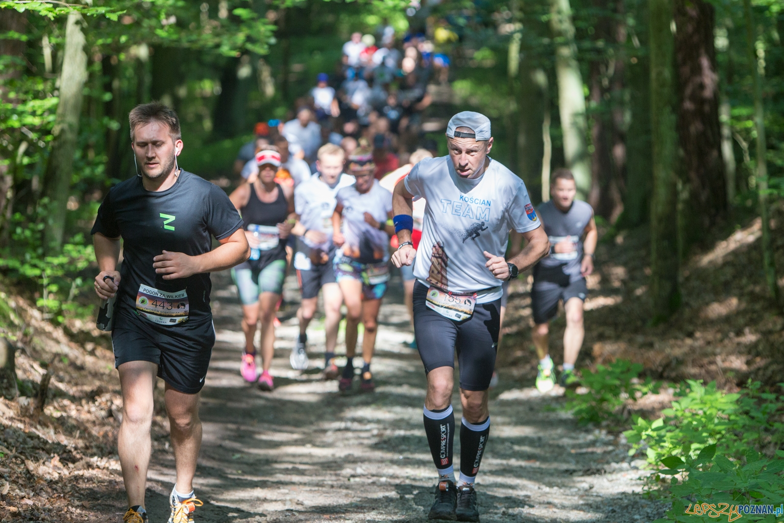 Pogoń za Wilkiem 2017 Foto: lepszyPOZNAN.pl/Piotr Rychter Pogoń za Wilkiem 2017 Foto: lepszyPOZNAN.pl/Piotr Rychter