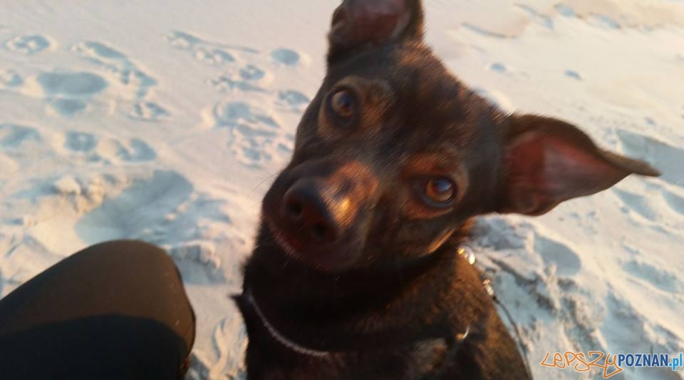 Agata Banaszak Dyzio Foto: Agata Banaszak Dyzio Foto: