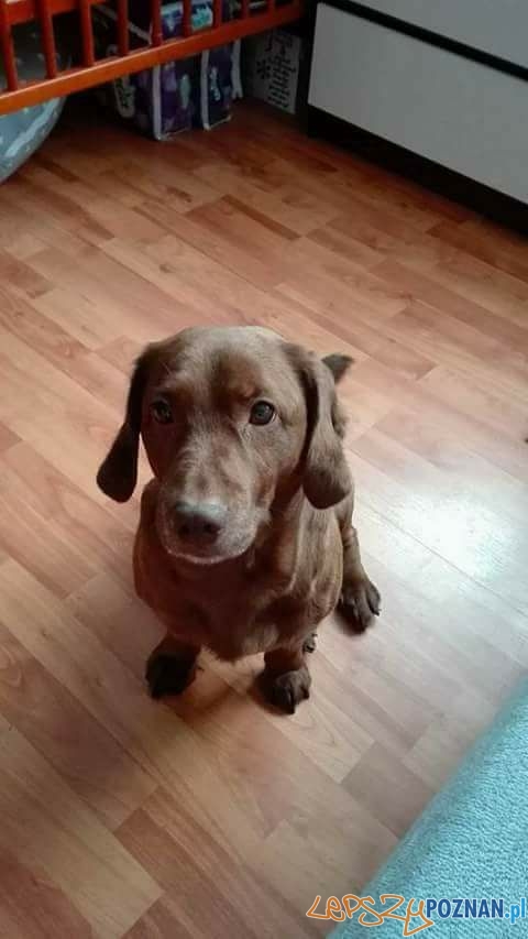 Monika Glabus Tobi Foto: Monika Glabus Tobi Foto: