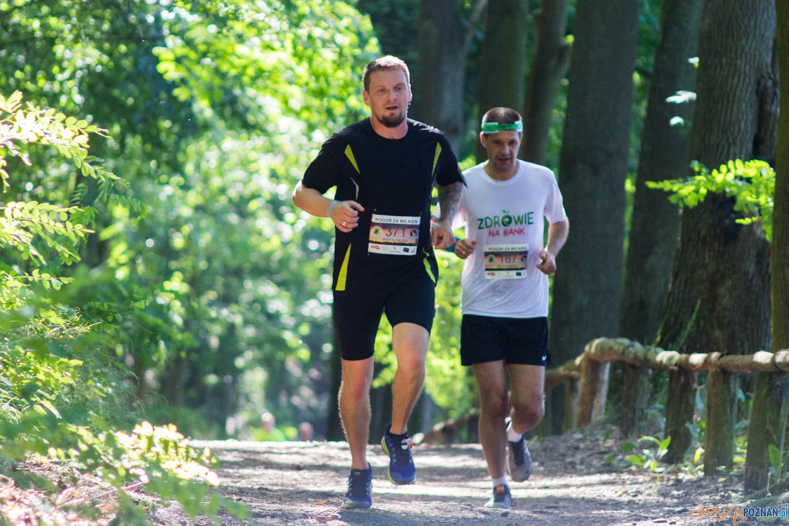 Pogoń za Wilkiem Foto: lepszyPOZNAN.pl / Ewelina Jaśkowiak Pogoń za Wilkiem Foto: lepszyPOZNAN.pl / Ewelina Jaśkowiak