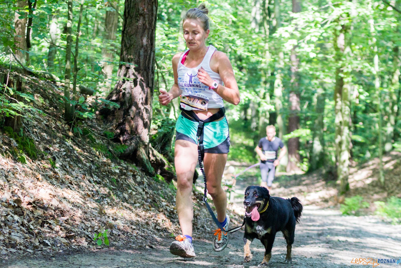 Pogoń za Wilkiem Foto: lepszyPOZNAN.pl / Ewelina Jaśkowiak Pogoń za Wilkiem Foto: lepszyPOZNAN.pl / Ewelina Jaśkowiak