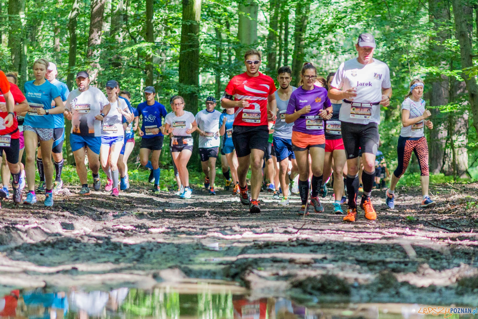 Pogoń za Wilkiem Foto: lepszyPOZNAN.pl / Ewelina Jaśkowiak Pogoń za Wilkiem Foto: lepszyPOZNAN.pl / Ewelina Jaśkowiak