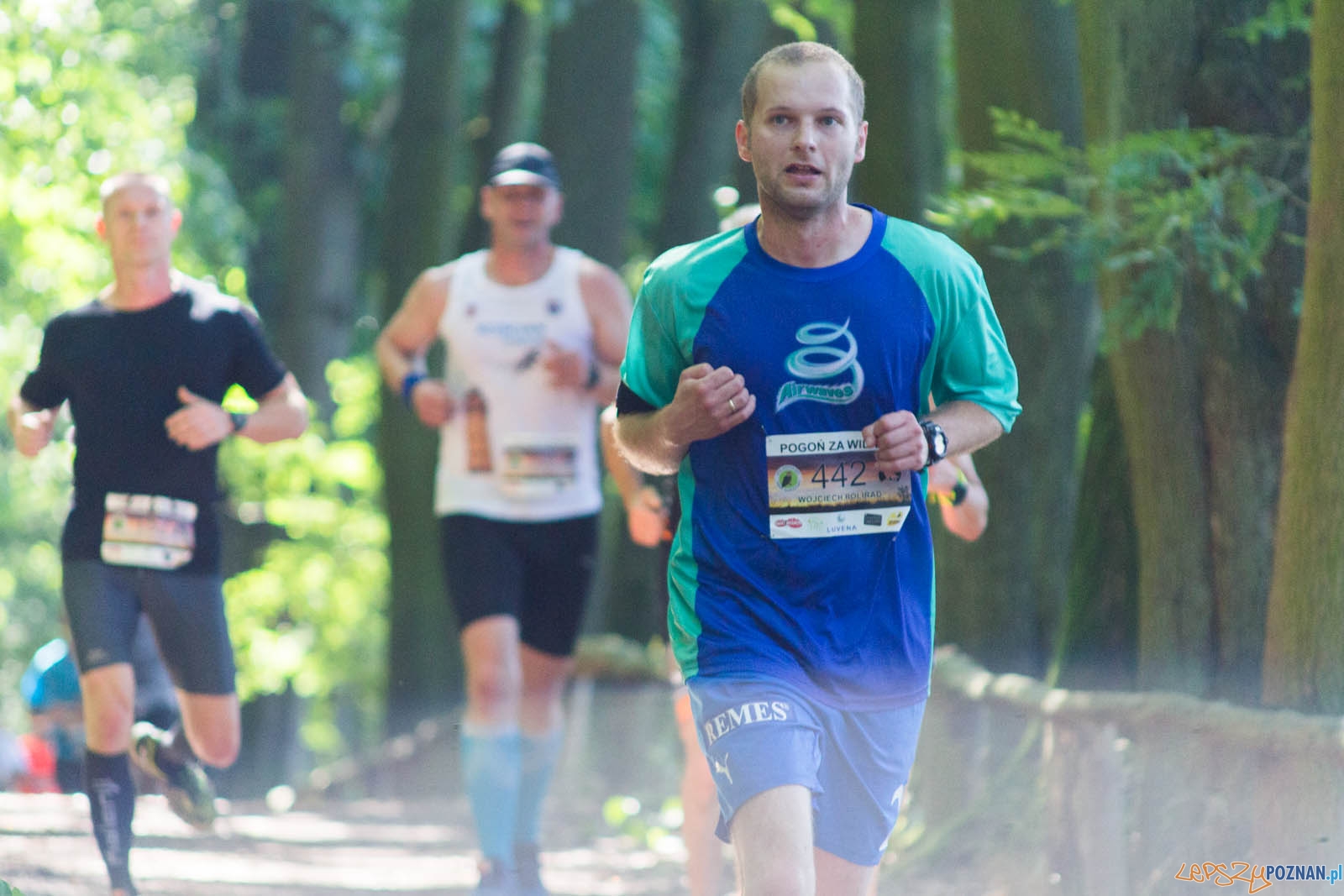 Pogoń za Wilkiem Foto: lepszyPOZNAN.pl / Ewelina Jaśkowiak Pogoń za Wilkiem Foto: lepszyPOZNAN.pl / Ewelina Jaśkowiak