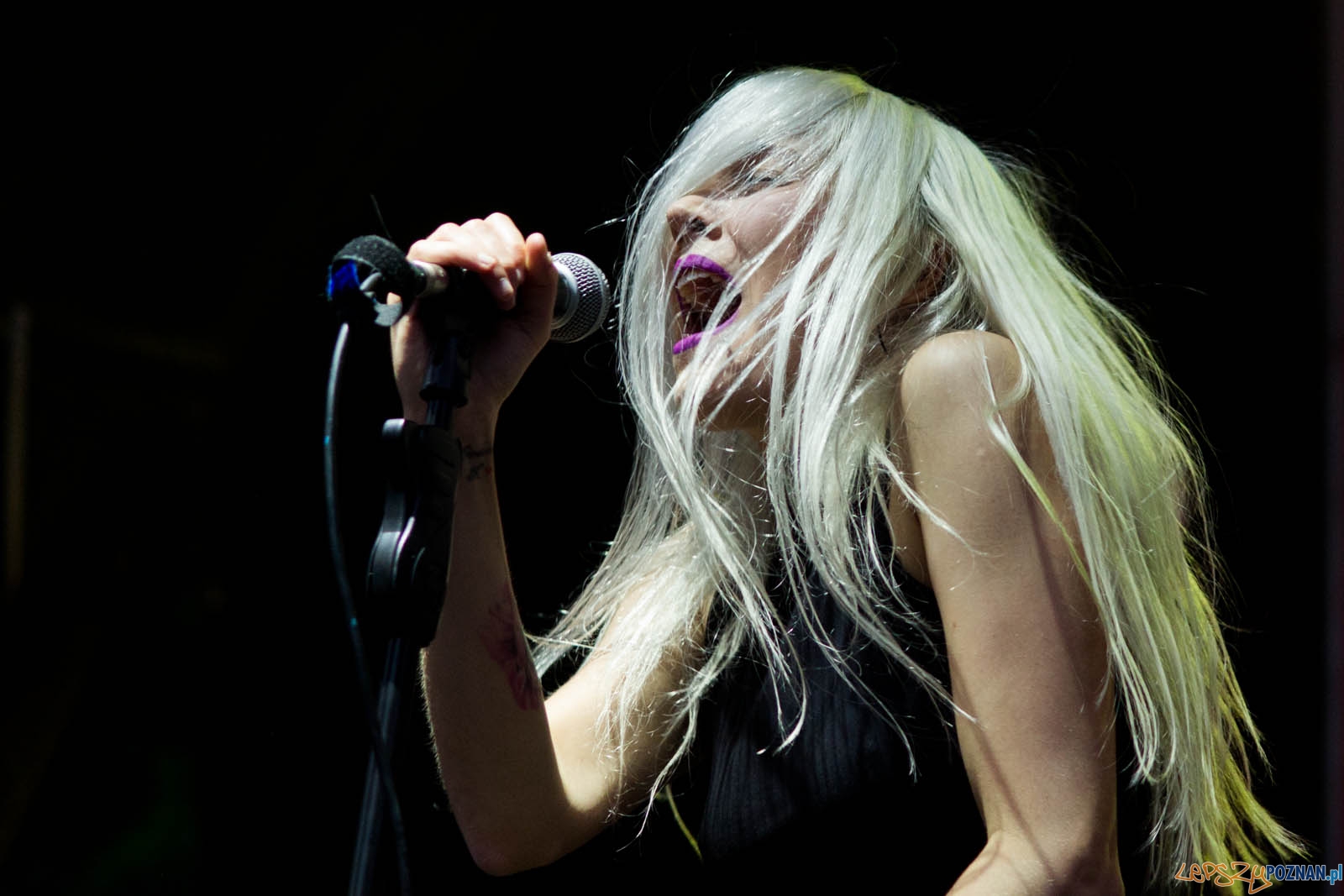 Miejskie Granie 2017 Foto: lepszyPOZNAN.pl / Ewelina Jaśkowiak Miejskie Granie 2017 Foto: lepszyPOZNAN.pl / Ewelina Jaśkowiak