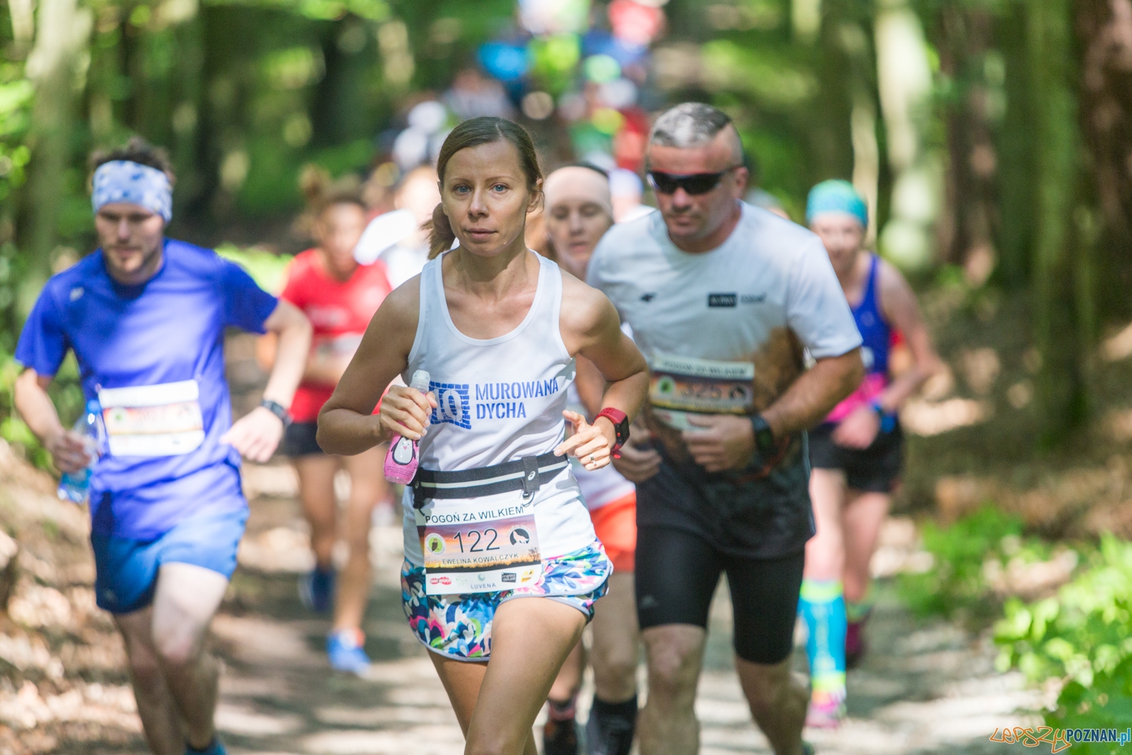 Pogoń za Wilkiem 2017 Foto: lepszyPOZNAN.pl/Piotr Rychter Pogoń za Wilkiem 2017 Foto: lepszyPOZNAN.pl/Piotr Rychter