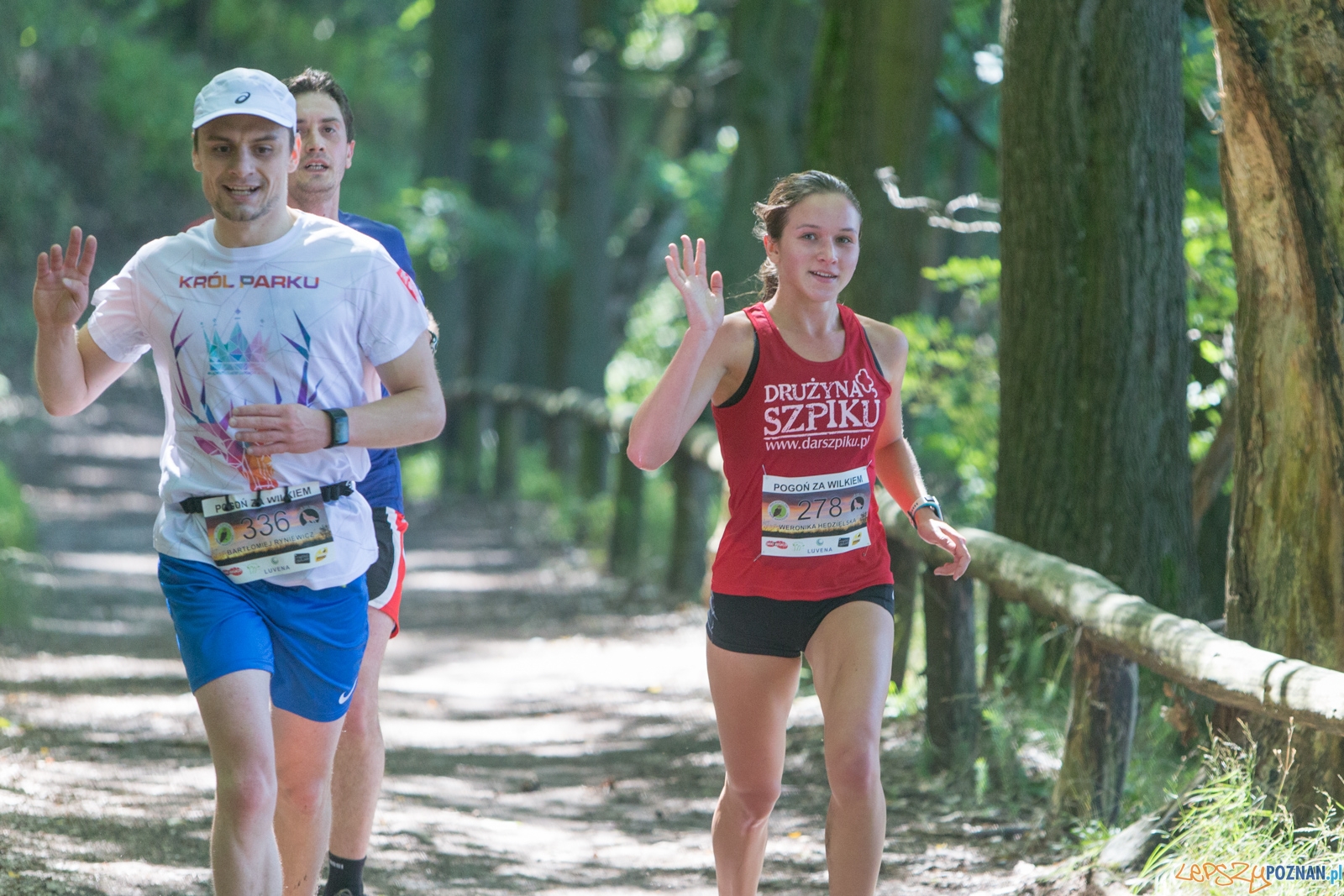 Pogoń za Wilkiem 2017 Foto: lepszyPOZNAN.pl/Piotr Rychter Pogoń za Wilkiem 2017 Foto: lepszyPOZNAN.pl/Piotr Rychter