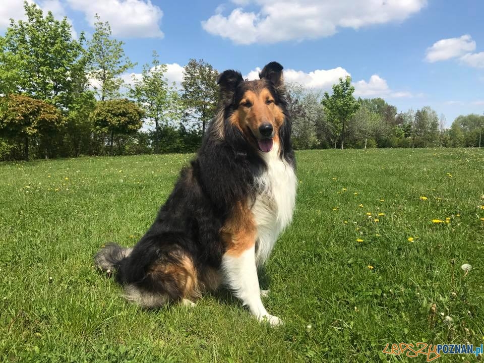 Dorota Urxzaj Foto: Dorota Urxzaj Foto: