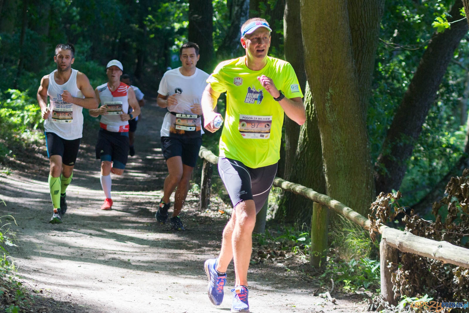 Pogoń za Wilkiem Foto: lepszyPOZNAN.pl / Ewelina Jaśkowiak Pogoń za Wilkiem Foto: lepszyPOZNAN.pl / Ewelina Jaśkowiak
