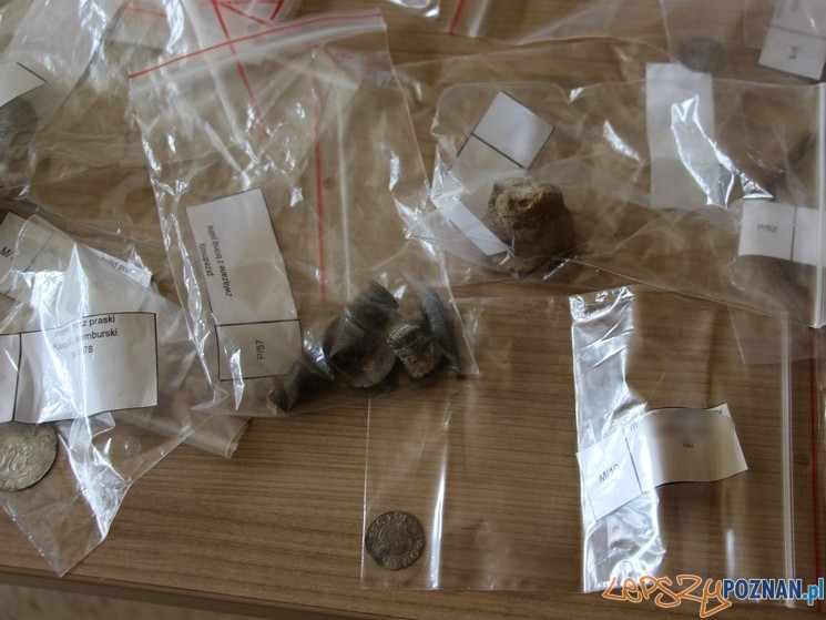 Monety znalezione podczas nielegalnych wykopalisk Foto: Policja Poznań Monety znalezione podczas nielegalnych wykopalisk Foto: Policja Poznań