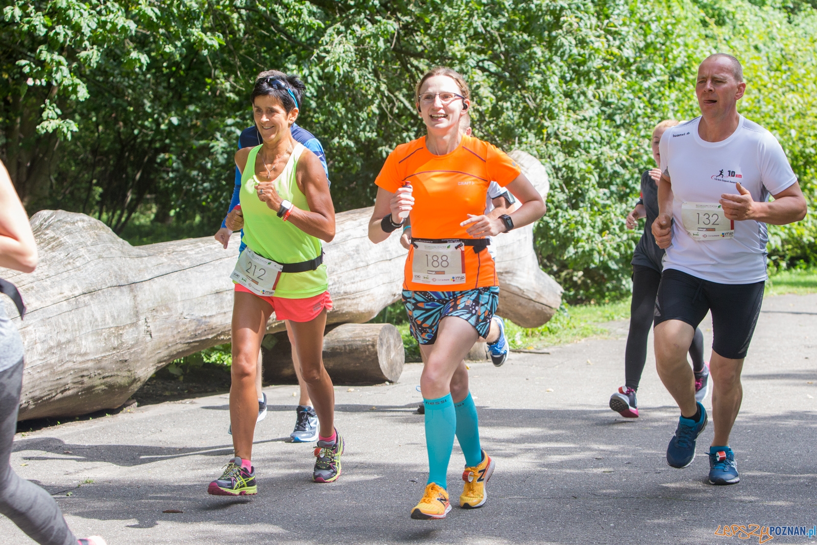 Botaniczna piątka Foto: lepszyPOZNAN.pl/Piotr Rychter Botaniczna piątka Foto: lepszyPOZNAN.pl/Piotr Rychter