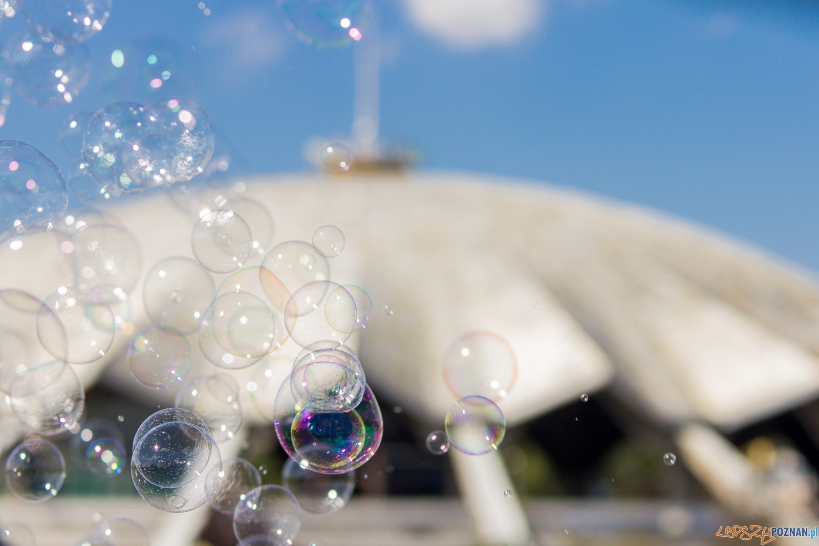 Festiwal Baniek Mydlanych Foto: lepszyPOZNAN.pl / Ewelina Jaskowiak Festiwal Baniek Mydlanych Foto: lepszyPOZNAN.pl / Ewelina Jaskowiak