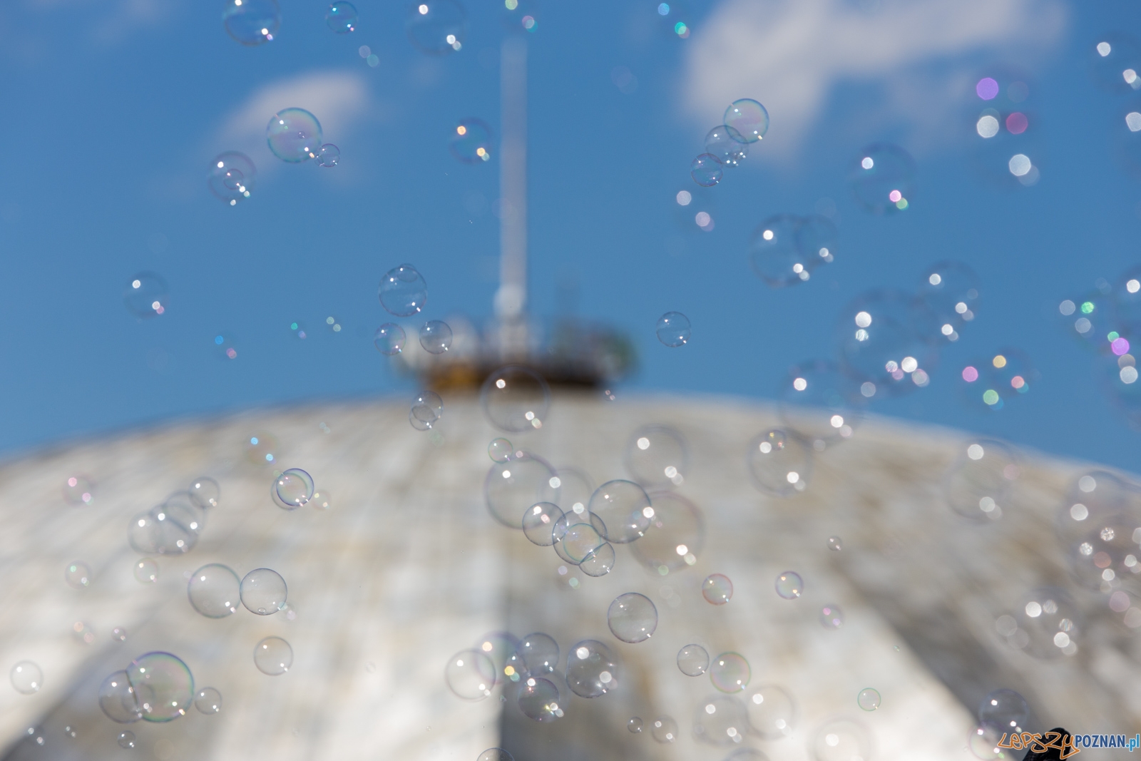 Festiwal Baniek Mydlanych Foto: lepszyPOZNAN.pl/Piotr Rychter Festiwal Baniek Mydlanych Foto: lepszyPOZNAN.pl/Piotr Rychter