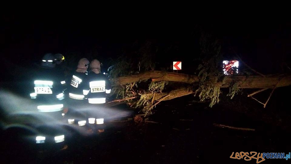 Usuwanie wiatrołomów z dróg Kostrzyn- Kleszczewo i Klony- Gułtowy Foto: OSP Kostrzyn Usuwanie wiatrołomów z dróg Kostrzyn- Kleszczewo i Klony- Gułtowy Foto: OSP Kostrzyn