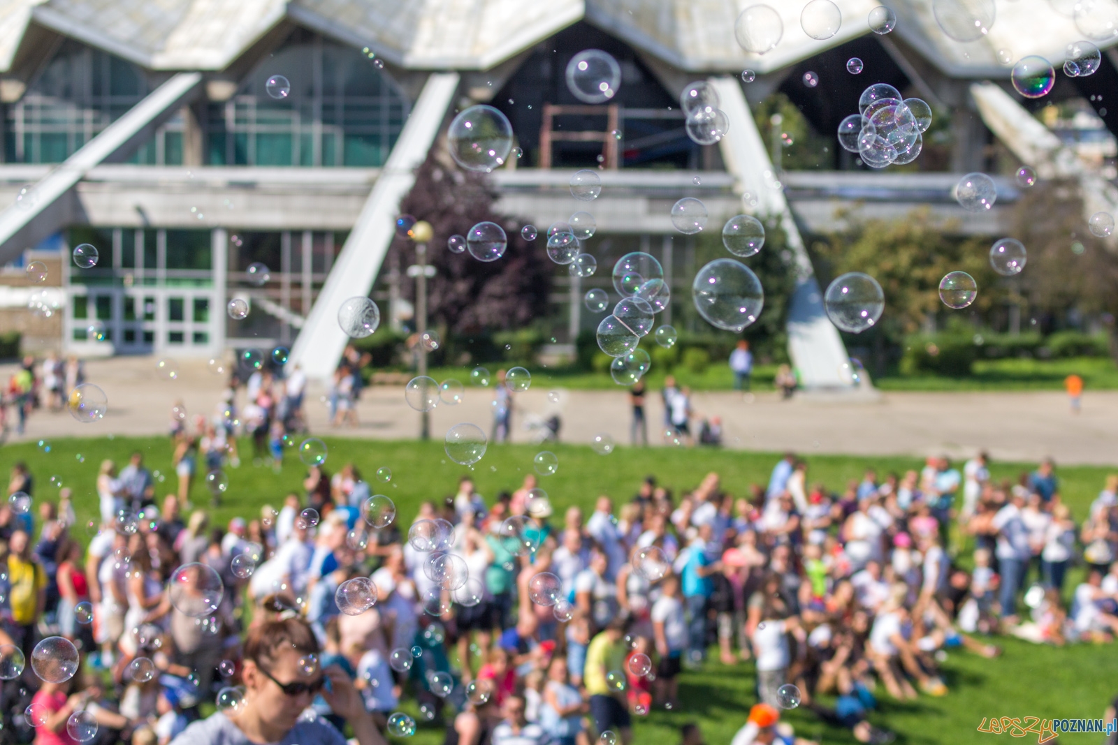 Festiwal Baniek Mydlanych Foto: lepszyPOZNAN.pl / Ewelina Jaskowiak Festiwal Baniek Mydlanych Foto: lepszyPOZNAN.pl / Ewelina Jaskowiak