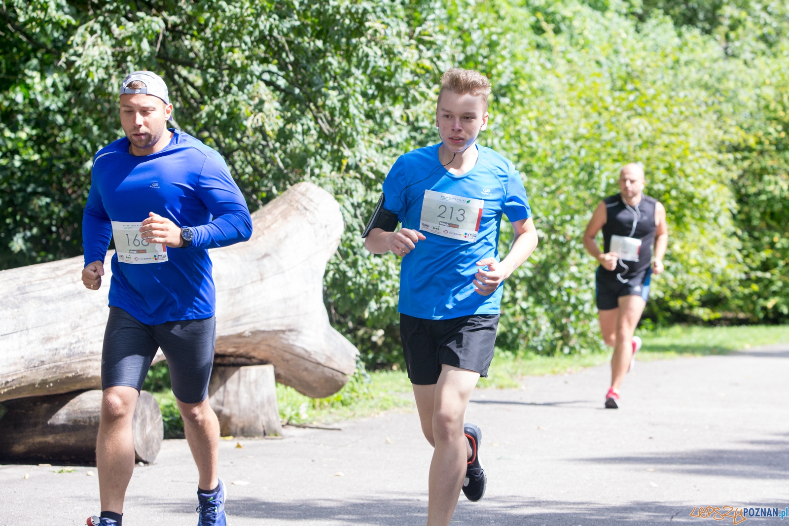 Botaniczna piątka Foto: lepszyPOZNAN.pl/Piotr Rychter Botaniczna piątka Foto: lepszyPOZNAN.pl/Piotr Rychter