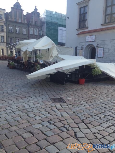 Zniszczona ogródki na Starym Rynku Foto: Zbyszek Reiss Zniszczona ogródki na Starym Rynku Foto: Zbyszek Reiss