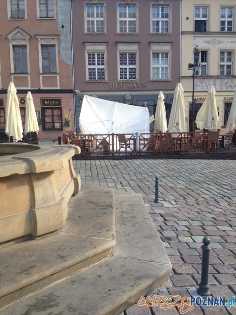 Zniszczona ogródki na Starym Rynku Foto: Zbyszek Reiss Zniszczona ogródki na Starym Rynku Foto: Zbyszek Reiss