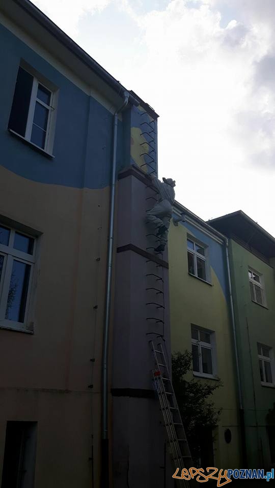 Groźne osy i szerszenie Foto: OSP Suchy Las Groźne osy i szerszenie Foto: OSP Suchy Las