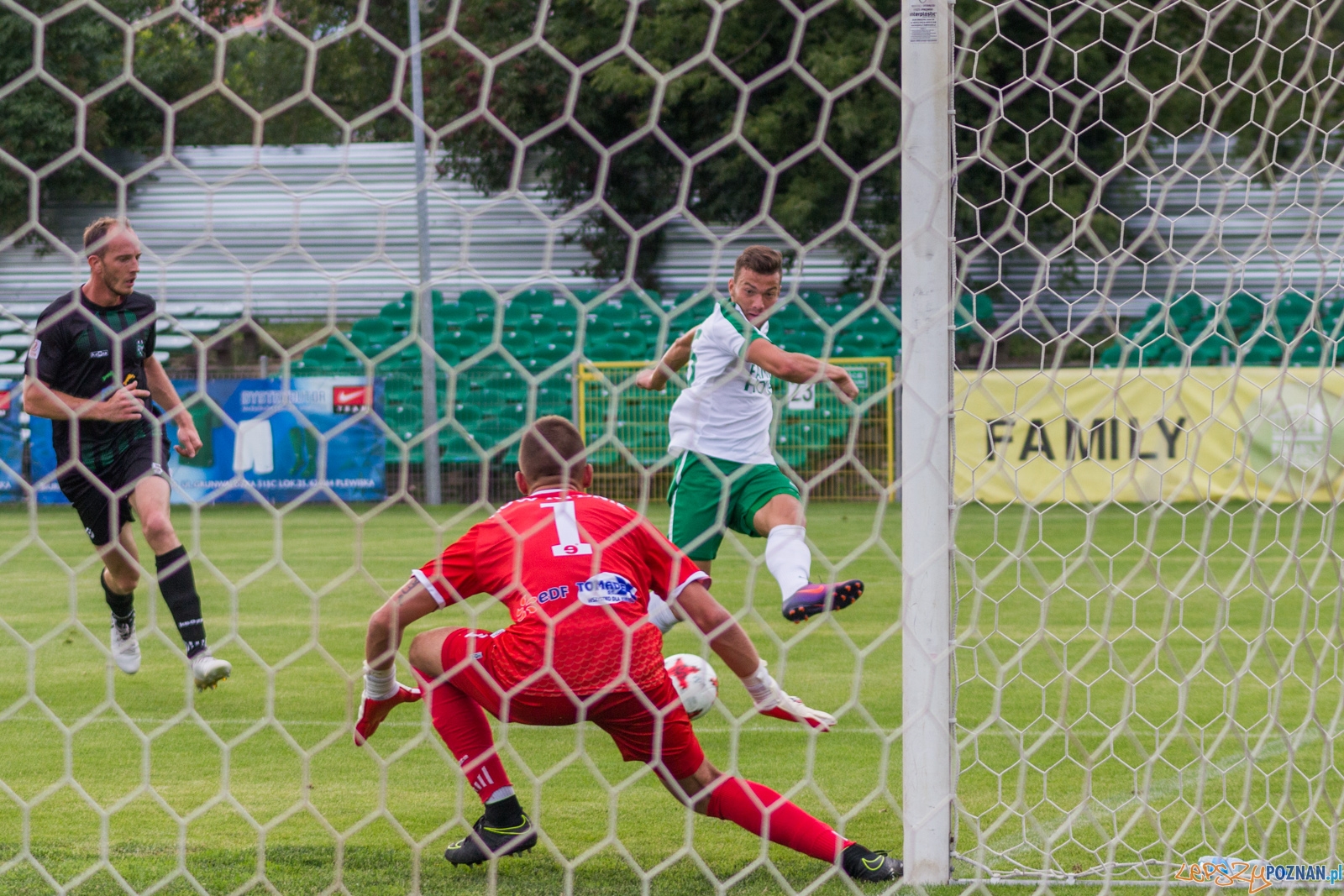 Warta Poznań - ROW Rybnik Foto: lepszyPOZNAN.pl / Ewelina Jaskowiak Warta Poznań - ROW Rybnik Foto: lepszyPOZNAN.pl / Ewelina Jaskowiak