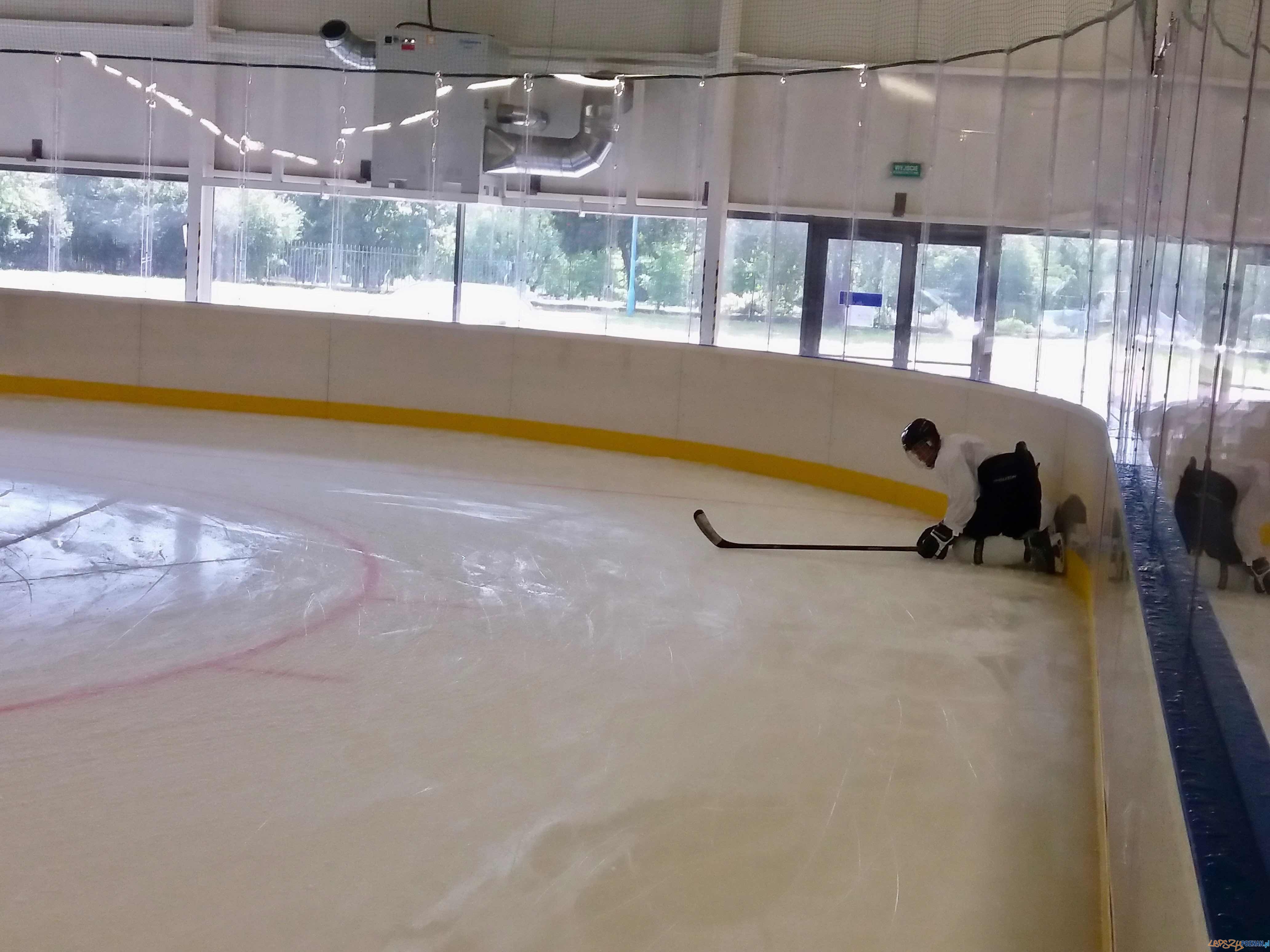 Chwiałka - lodowisko im. W. Ludwiczaka Foto: POSiR Chwiałka - lodowisko im. W. Ludwiczaka Foto: POSiR