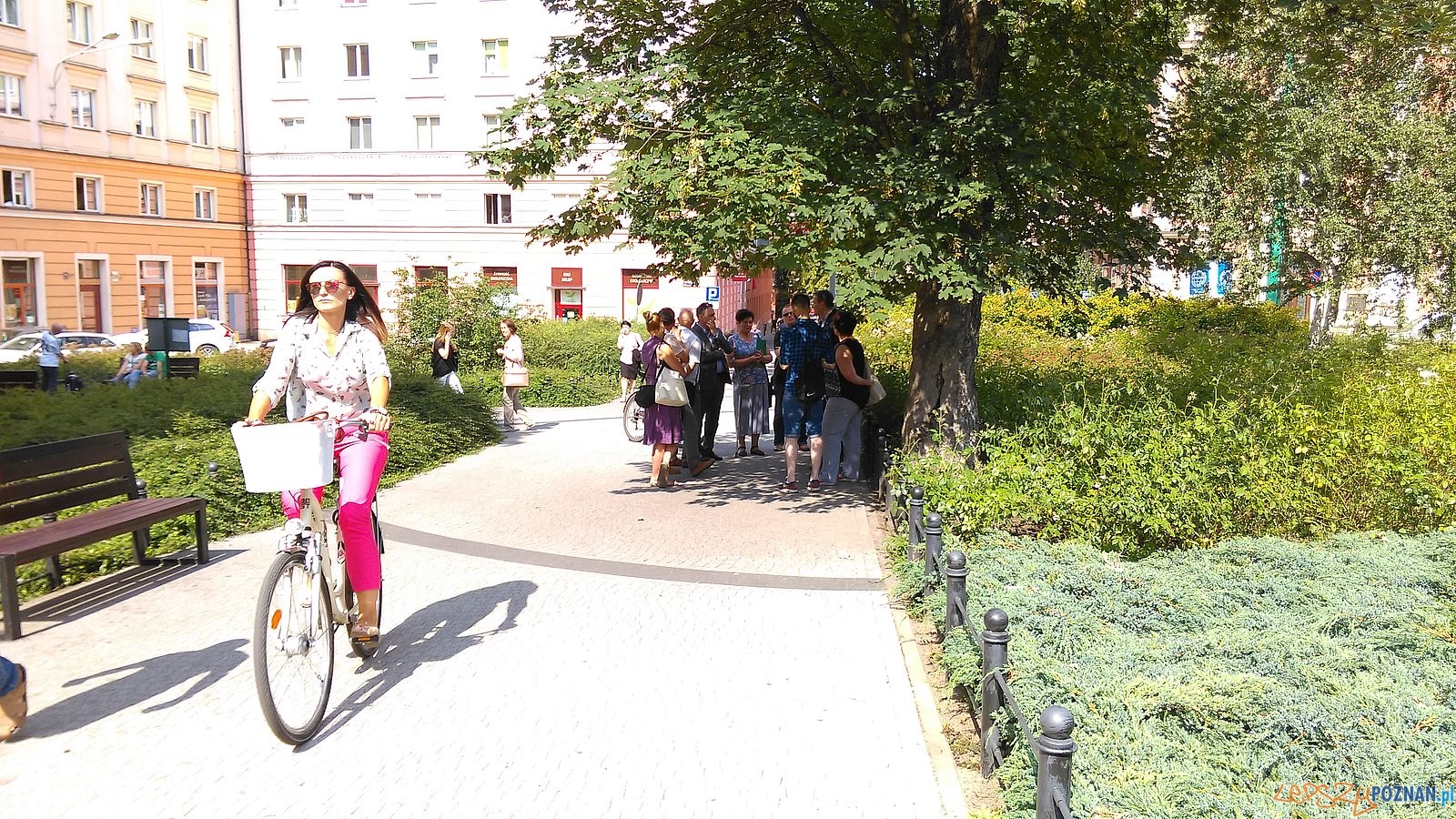 Plac Ratajskiego (4) Foto: T. Dworek / ROSM Plac Ratajskiego (4) Foto: T. Dworek / ROSM