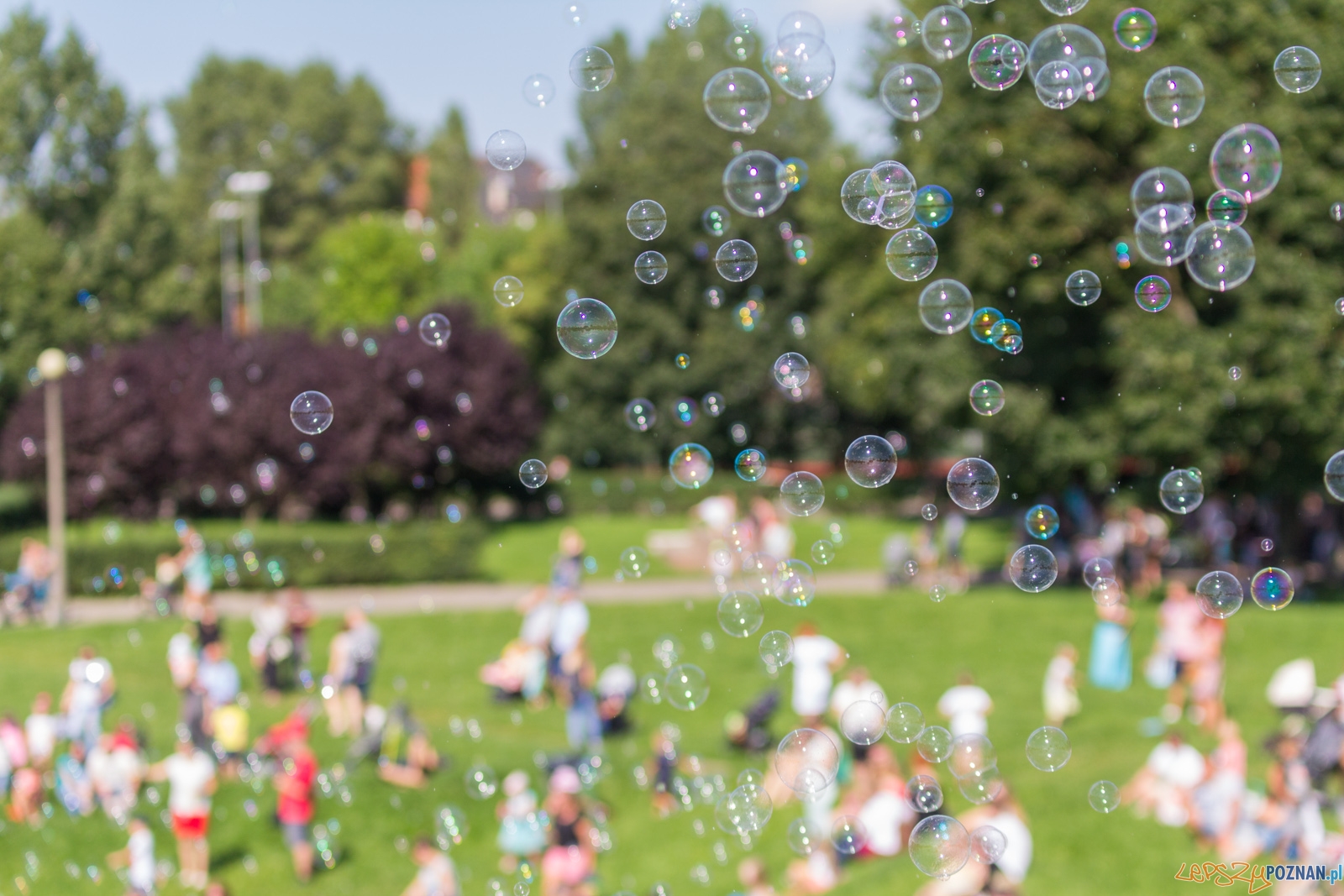 Festiwal Baniek Mydlanych Foto: lepszyPOZNAN.pl / Ewelina Jaskowiak Festiwal Baniek Mydlanych Foto: lepszyPOZNAN.pl / Ewelina Jaskowiak
