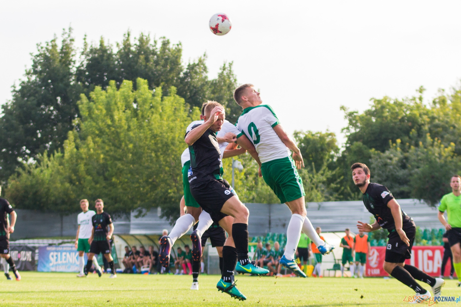 Warta Poznań - ROW Rybnik Foto: lepszyPOZNAN.pl / Ewelina Jaskowiak Warta Poznań - ROW Rybnik Foto: lepszyPOZNAN.pl / Ewelina Jaskowiak