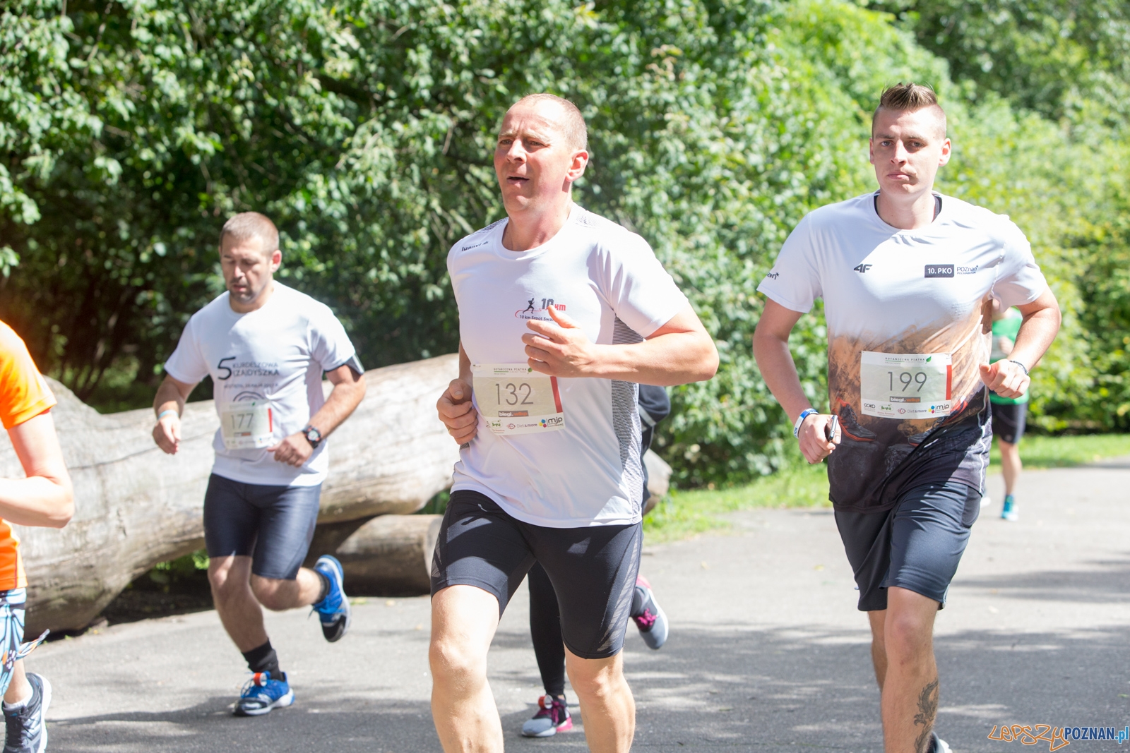 Botaniczna piątka Foto: lepszyPOZNAN.pl/Piotr Rychter Botaniczna piątka Foto: lepszyPOZNAN.pl/Piotr Rychter