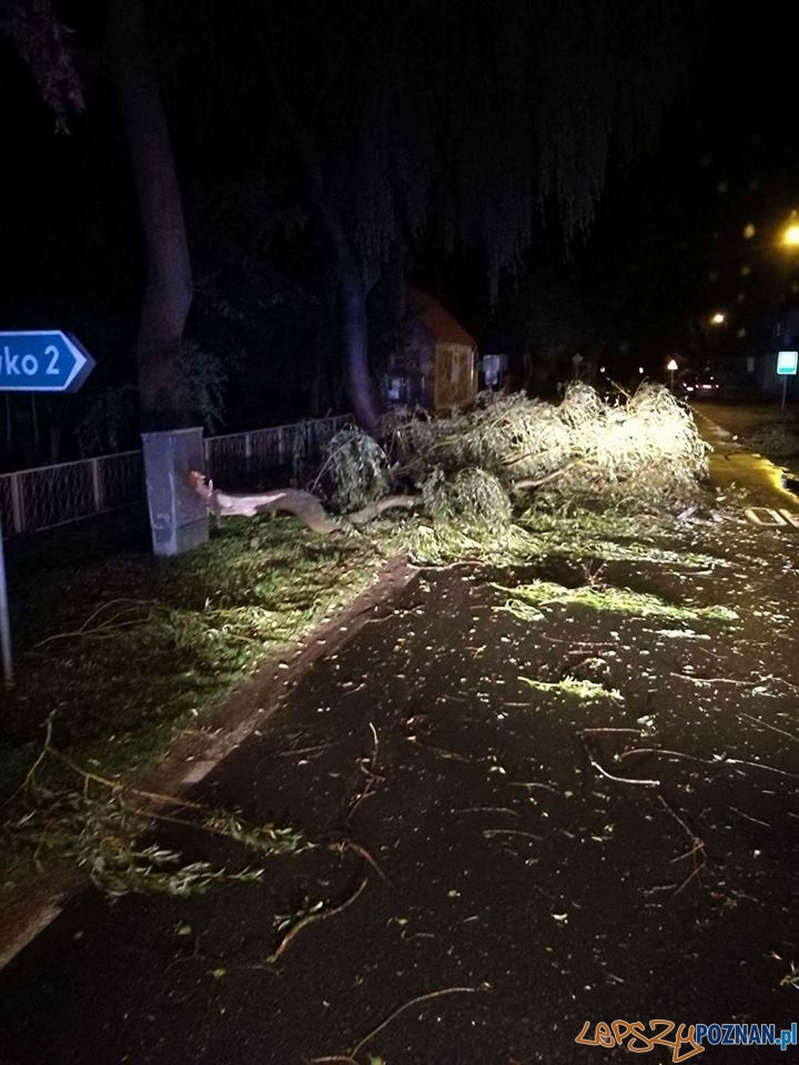 Powalone drzewo w Węglewie Foto: OSP Biskupice Powalone drzewo w Węglewie Foto: OSP Biskupice