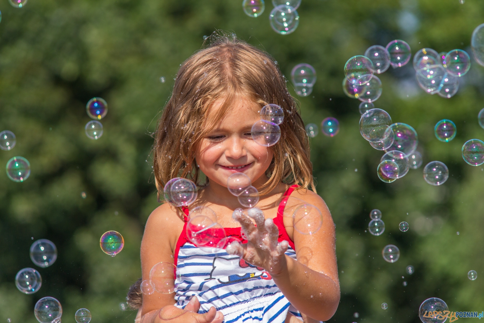 Festiwal Baniek Mydlanych Foto: lepszyPOZNAN.pl / Ewelina Jaskowiak Festiwal Baniek Mydlanych Foto: lepszyPOZNAN.pl / Ewelina Jaskowiak