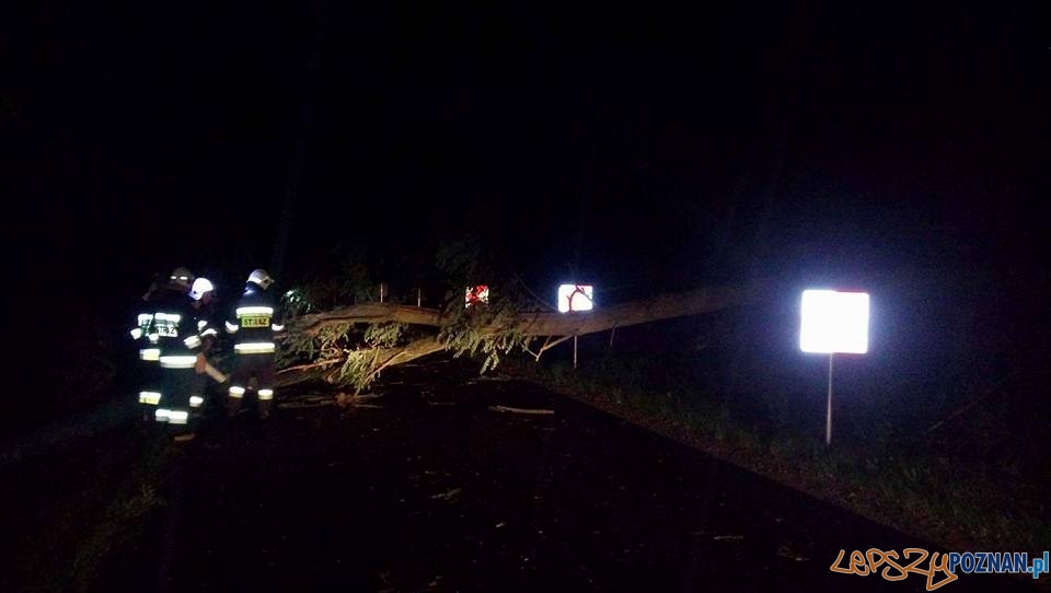Usuwanie wiatrołomów z dróg Kostrzyn- Kleszczewo i Klony- Gułtowy Foto: OSP Kostrzyn Usuwanie wiatrołomów z dróg Kostrzyn- Kleszczewo i Klony- Gułtowy Foto: OSP Kostrzyn