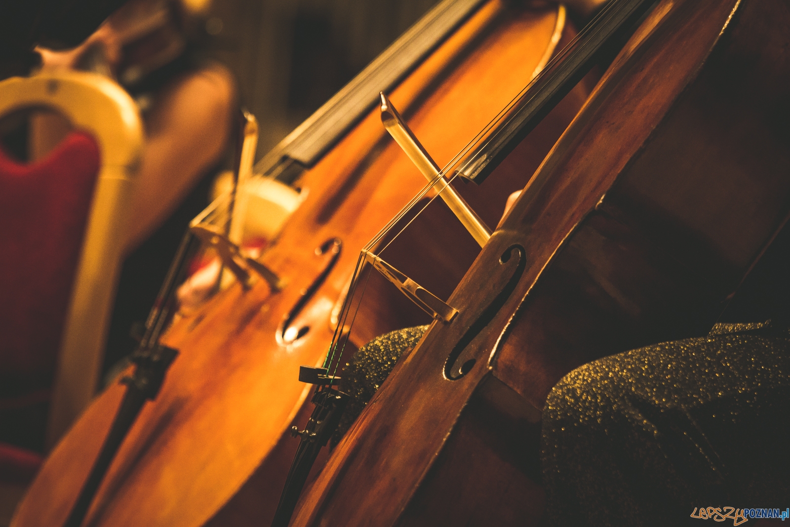Inauguracja Akademii Gitary (12.08.2017) Foto: © lepszyPOZNAN.pl / Karolina Kiraga Inauguracja Akademii Gitary (12.08.2017) Foto: © lepszyPOZNAN.pl / Karolina Kiraga
