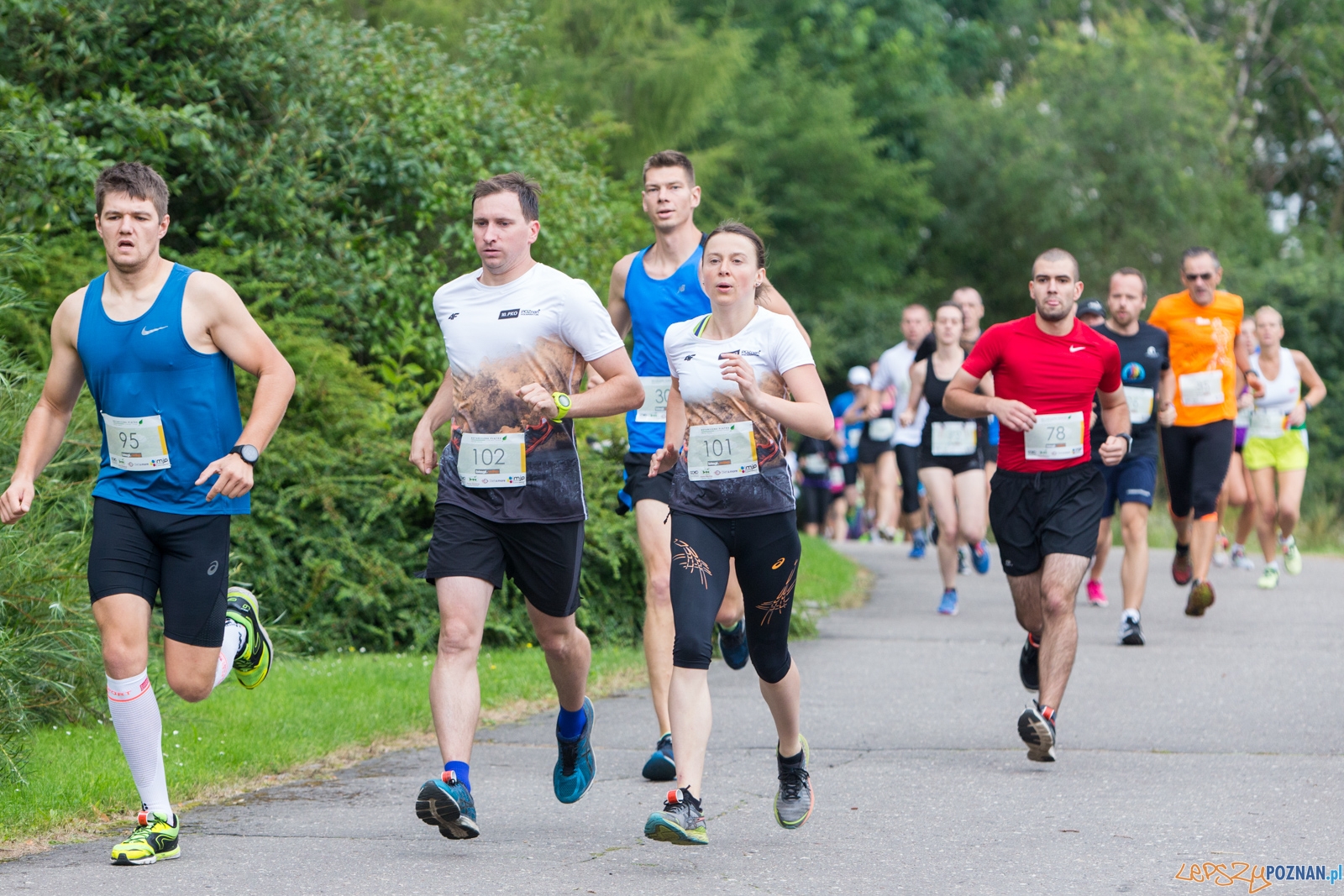 Botaniczna piątka Foto: lepszyPOZNAN.pl/Piotr Rychter Botaniczna piątka Foto: lepszyPOZNAN.pl/Piotr Rychter