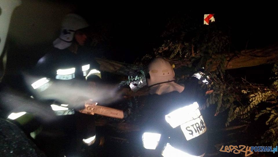 Usuwanie wiatrołomów z dróg Kostrzyn- Kleszczewo i Klony- Gułtowy Foto: OSP Kostrzyn Usuwanie wiatrołomów z dróg Kostrzyn- Kleszczewo i Klony- Gułtowy Foto: OSP Kostrzyn