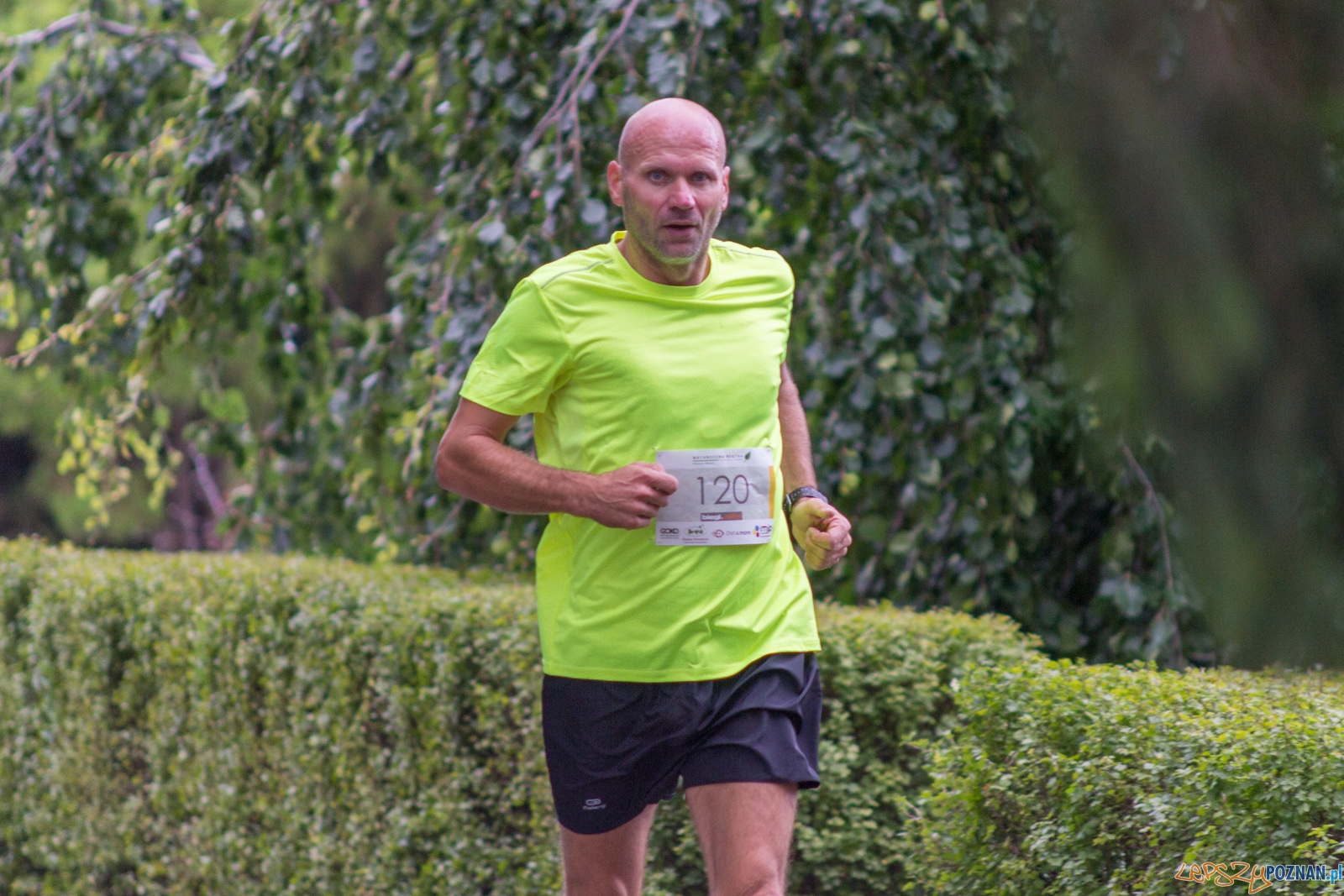 Botaniczna Piatka Foto: lepszyPOZNAN.pl / Ewelina Jaskowiak Botaniczna Piatka Foto: lepszyPOZNAN.pl / Ewelina Jaskowiak