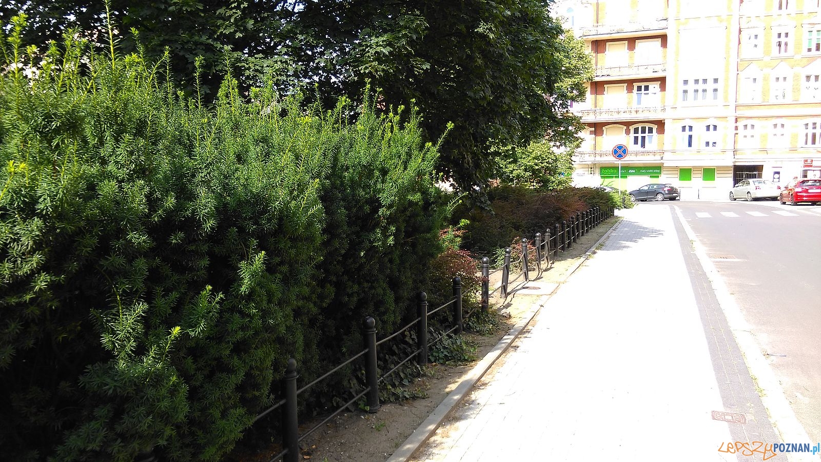 Plac Ratajskiego (9) Foto: T. Dworek / ROSM Plac Ratajskiego (9) Foto: T. Dworek / ROSM