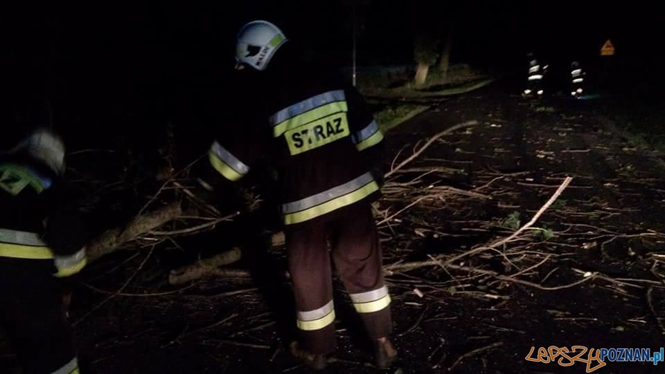 Usuwanie wiatrołomów z dróg Kostrzyn- Kleszczewo i Klony- Gułtowy Foto: OSP Kostrzyn Usuwanie wiatrołomów z dróg Kostrzyn- Kleszczewo i Klony- Gułtowy Foto: OSP Kostrzyn